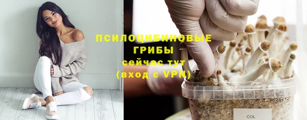 спиды Осташков