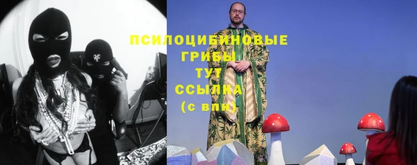 гидропоника Осинники