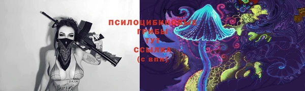спиды Осташков