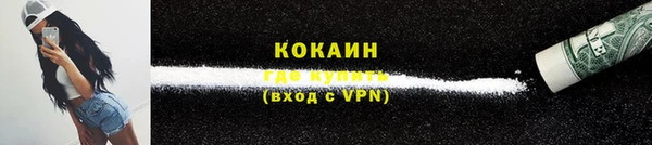 твердый Пересвет