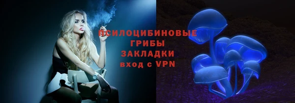спиды Осташков