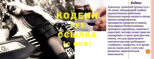 гашик Пестово