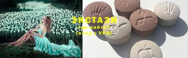 гашик Пестово