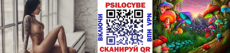 Купить закладки  Приозерск  Псилоцибиновые грибы Psilocybe 